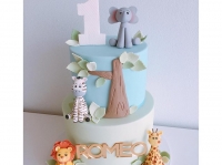 Romeo Jungle Cake